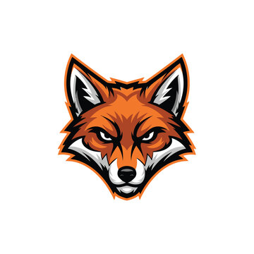 Illustration of a fox head.