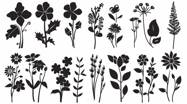 Black floral vector silhouettes diverse botanical elements for design projects