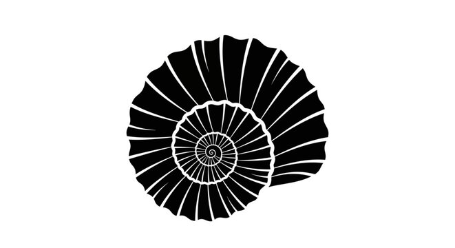 Black Ammonite Fossil Shell Spiral.