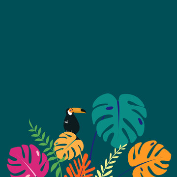 Colorful summer tropical bird border green design