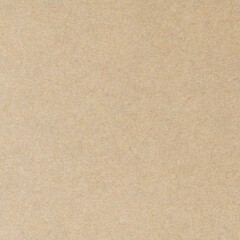 Fototapeta premium Brown textured background