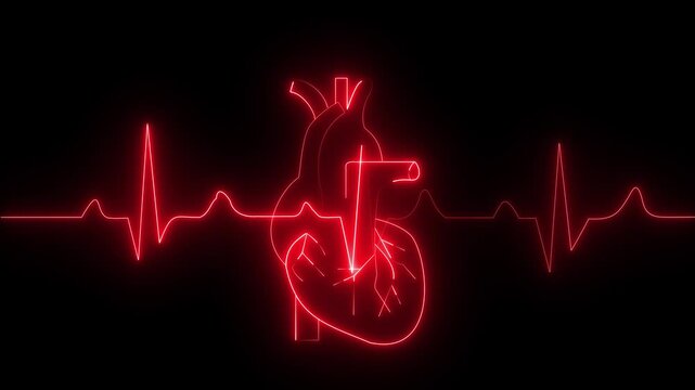 heartbeat line 4k neon light heartbeat display screen medical research show sign. abstract background heartbeat line 4k neon light heartbeat display Electrocardiogram show .Neon Light Research. 4k
