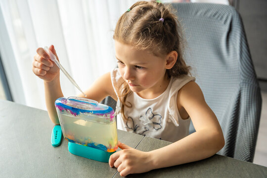 Little girl creating air bubbles in aquarium with artemia using pipette. Simple home science experiment exploring oxygenation and aquatic micro life concept.