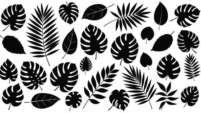Black and white illustration of diverse tropical leaves arranged in a pattern