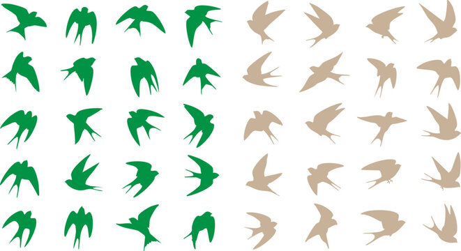 Flying swallow bird silhouettes, set of 40 green and beige bird icons, minimalist swallow vector elements for nature logos and spring design
