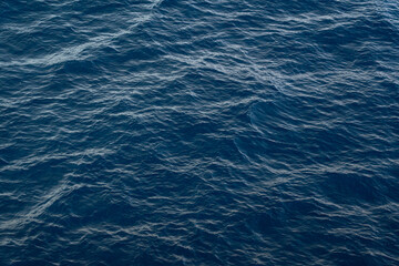 Obraz premium Antarctic expedition. Waves move gently across the surface of the ocean during bright daylight hours near the coastline. Antarctic Peninsula