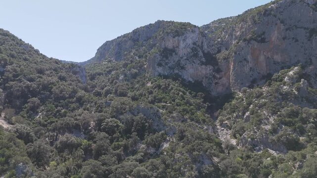 A scenic view of the steep limestone cliffs and lush Mediterranean vegetation at Cala Goloritze, Sardinia. Captures the wild natural beauty of the Orosei Gulf.