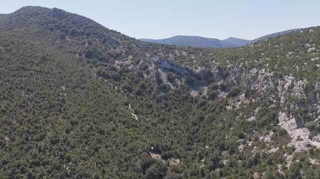 A sweeping aerial shot of the rugged limestone cliffs and dense green maquis shrubland near Cala Goloritze, Sardinia. Captures the wild natural beauty of the Orosei Gulf.
