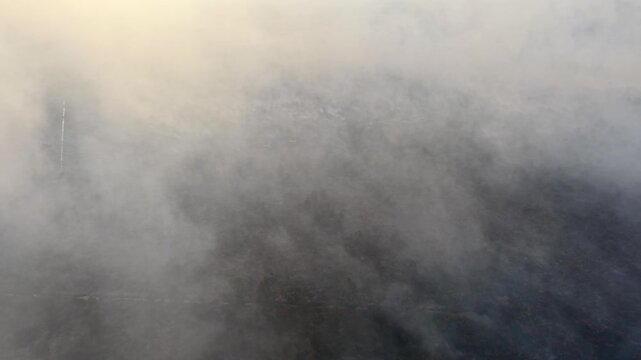 Soft fog drifts, veiling distant hills. Misty layers swirl, creating a dreamlike haze. Gentle motion hides what lies beneath the clouds. No visible faces, no clear emotion