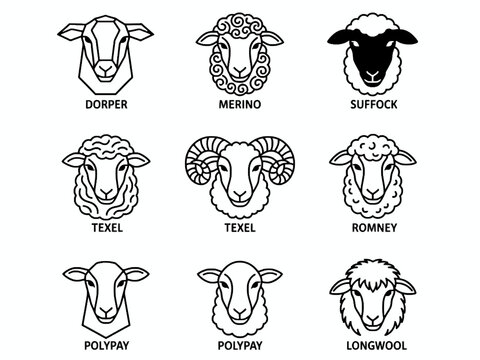 Sheep Breed Head Icons for Farming Livestock and Wool Production