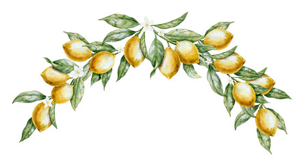 Watercolor lemon border with Citrus fruits and leaves. illustration with wreath for kitchen design, packaging, textile and summer branding. Frame element for invitations or greeting cards. © Alisles