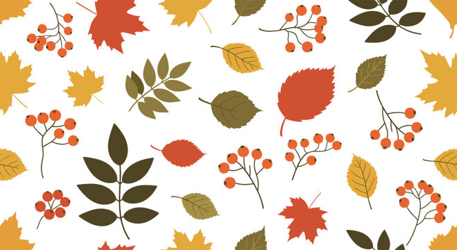 Colorful seamless autumn pattern with a variety of fall leaves and red rowanberry branches scattered on a white background.