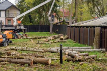 Tree removal work in residential yard with cut trunks and lift platform reflects arborist service and land clearing process. © SOLDATOOFF