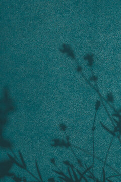 Floral shadow on vintage blue texture, summer aesthetic background in boho style. Beauty, fashion and business luxury brand template layout. Minimal organic decor lifestyle.