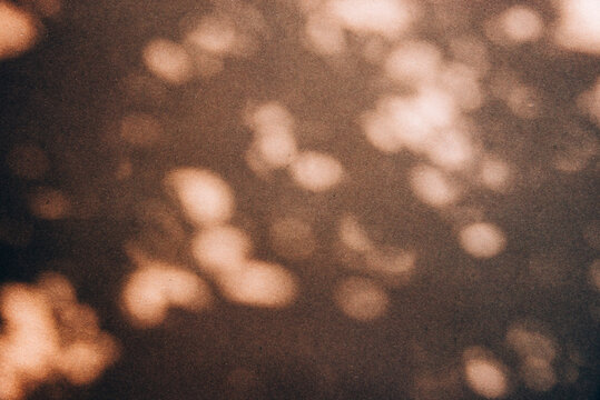 Leaves bokeh shadow on neutral brown texture, aesthetic summer background, coastal boho style. Natural beauty and lifestyle wallpaper. Abstract tropical minimal pattern flat lay.