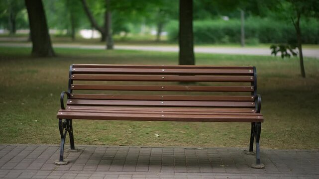 Empty Bench in Park. Non-Living Things Around Us. Outdoor Objects. an empty park bench, set in a quiet public park environment, with a visual aesthetic that is calm and observational

