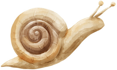 Snail watercolor © Labellong
