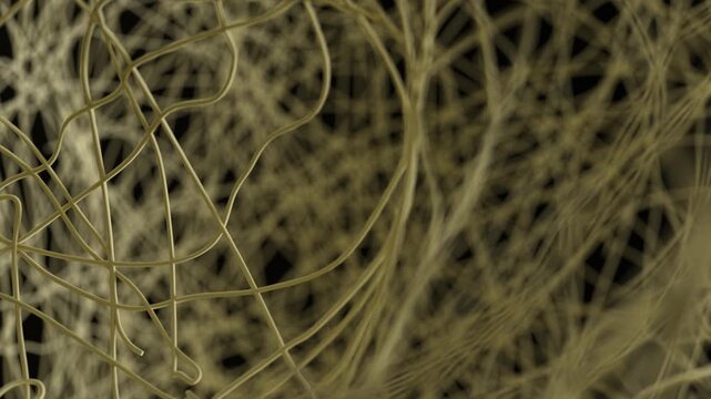 Abstract Skull Formation from Splines and Particles Animation