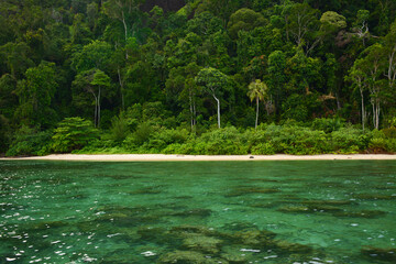 Clear turquoise water along a pristine sandy beach with dense tropical rainforest vegetation in the background © domi