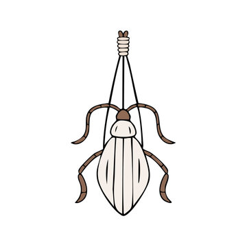 Stylized drawing of a light colored insect with thin legs and antennae suspended by strings from a knot at the top