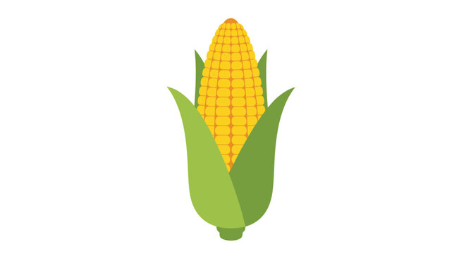 A vibrant illustration of a single ear of yellow corn on a white background