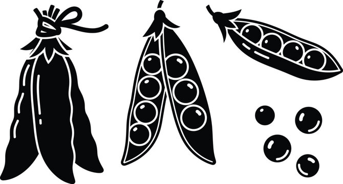 Black and white pea pod illustration with closed pod, open pods showing peas, scattered individual peas graphic design