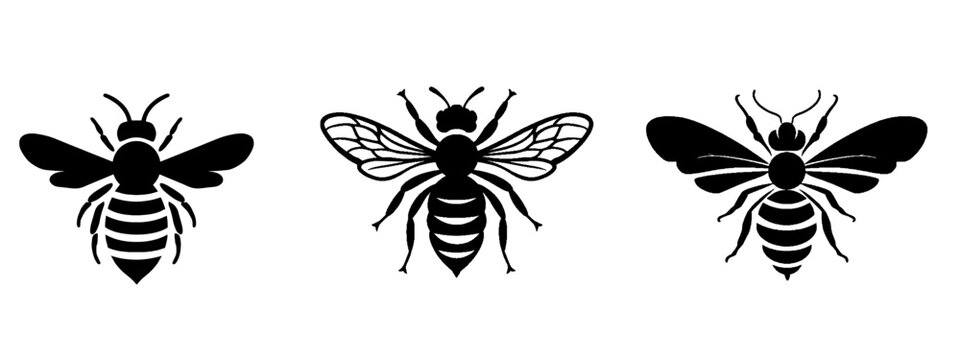 insects bee animal vector symbol icon illustration set collection for logo - Black silhouette of three different bees isolated on transparent background