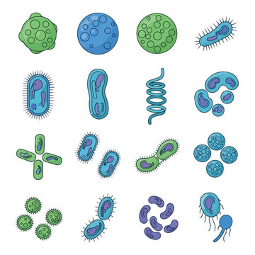 Various Types of Bacteria and Microorganisms.