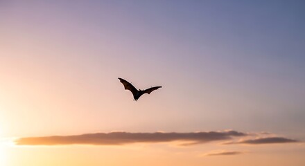 Naklejka premium Silhouette of a bat flying in the dusk sky with soft clouds during sunset