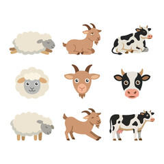 Fototapeta premium Flat icon set of sacrificial animals featuring cow goat and sheep heads and full body figures for qurban theme.