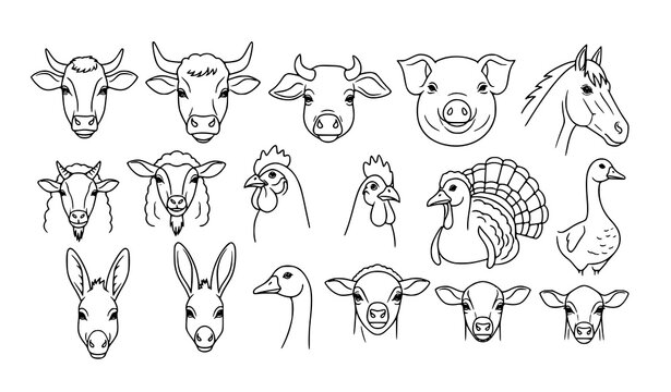 Farm animal head outline vector set with cow pig horse sheep and chicken livestock illustration collection isolated on white