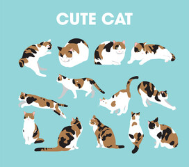 Expressions and Postures of a Cute Cat Collection © Lazycats
