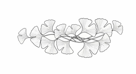 Fototapeta premium A decorative, monochrome illustration of multiple ginkgo leaves on delicate stems against a white background