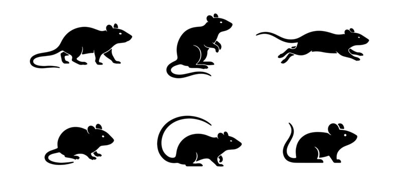 Black silhouette mouse icons, vector rodents, rat symbols, 6 pcs