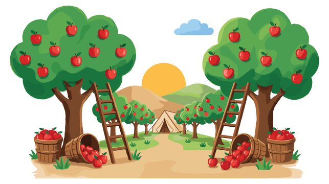 Apple orchard harvest scene with trees ladders buckets and tents at sunset.