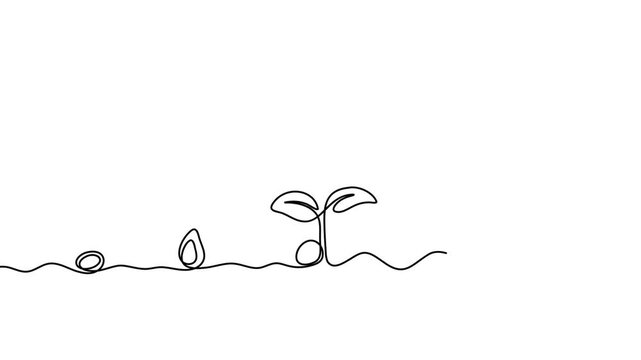 Plant growth one line drawing 4K Animation Video smooth loop eco natural concept
