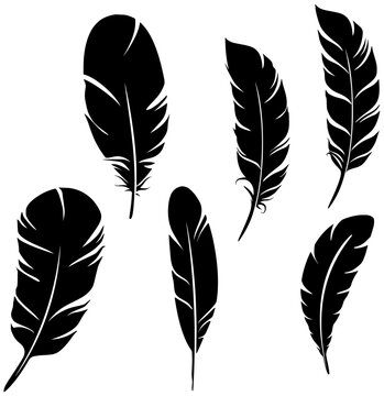 Feathers