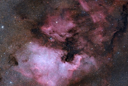 The North America Nebula (NGC 7000 or Caldwell 20) is an emission nebula in the constellation Cygnus, close to Deneb (the tail of the swan and its brightest star) in the night sky. It is named because