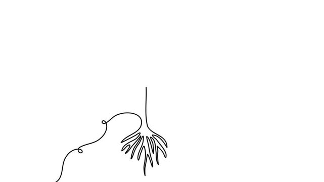 Plant growth continuous line 4K Animation Video seamless loop nature growth concept motion design
