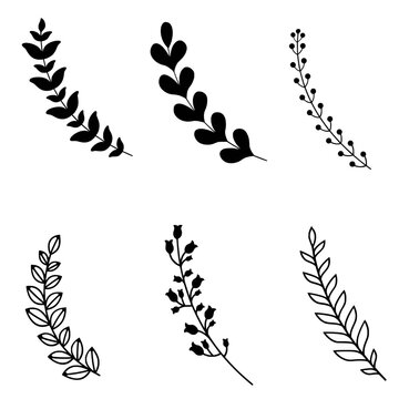Stems