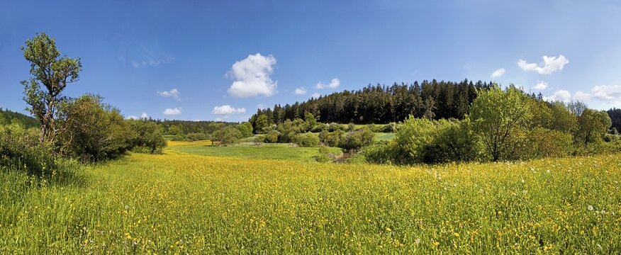 Flower meadow in Morsbachtal valley, "Ritter- und R&ouml;merweg", trail of the "Knights and the Romans" near Emsing, Titting, Altm&uuml;hltal Nature Park, Bavaria, Germany