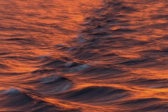 Bow waves in the evening light, Arctic Ocean, Spitsbergen Island, Svalbard Archipelago, Svalbard and Jan Mayen, Norway