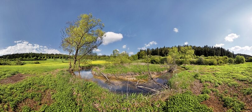 Loop of the Morsbach stream, untouched nature, "Ritter- und R&ouml;merweg", trail of the "Knights and the Romans" near Emsing, Titting, Altm&uuml;hltal Nature Park, Bavaria, Germany