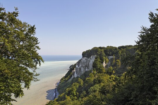 View from the Koenigsstuhl ("King's Throne"), Jasmund National Park, Ruegen, Germany, Europe