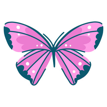 Danaid butterfly in sparkling purple pink color, insect on white