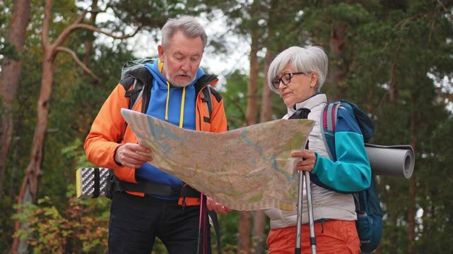 Hiking tourism. Senior couple man woman looking track in paper map enjoying hiking in forest. Happy old people backpackers hikers enjoy walking hike trekking tourism active vacation beauty of nature