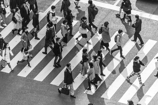 Shibuya crossing, crowds at intersection, many people cross zebra crossing, black and white, Shibuya, Udagawacho, Tokyo, Japan