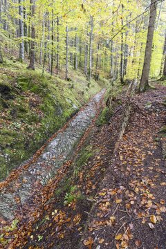 Celtic road, Roman road, Rottweg, historic track road near Klais, Werdenfelser Land, Upper Bavaria, Bavaria, Germany