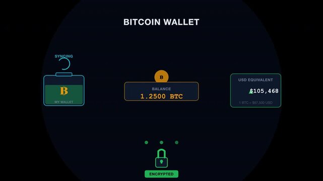 Digital bitcoin wallet interface showing current balance, ideal for cryptocurrency websites, financial blogs, and technology presentations. Banking cryptocurrency concept.