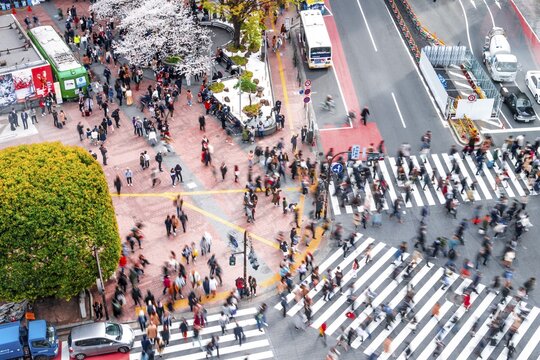 Shibuya crossing, crowds at intersection, many pedestrians cross zebra crossing, blurred, motion, Shibuya, Udagawacho, Tokyo, Japan